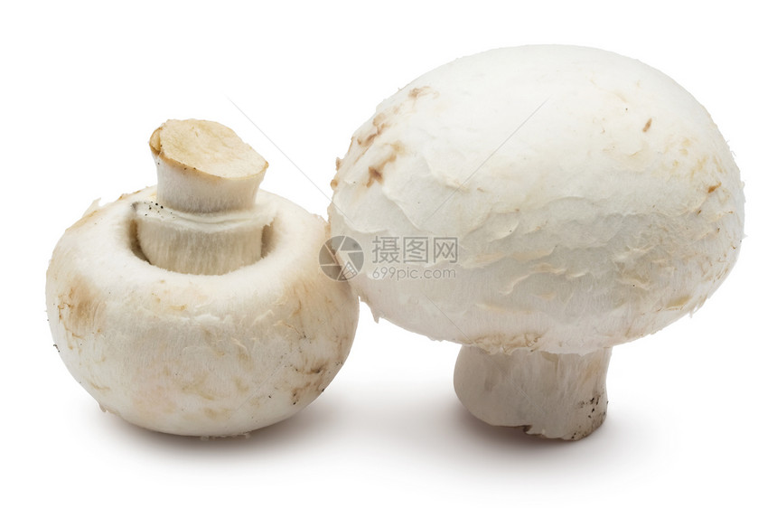 香农蘑菇蔬菜营养蘑菇宏观食物茶点团体美食白色图片
