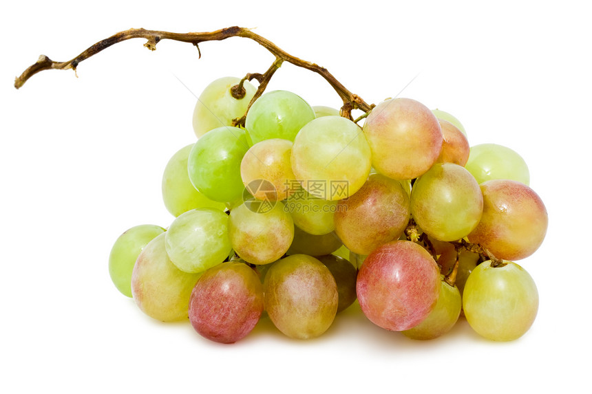 葡萄白色藤蔓营养绿色红色水果浆果农业酒厂甜点图片