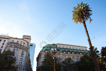阿根廷布宜诺斯艾利斯五月广场的景色背景图片