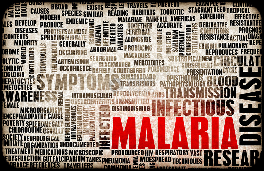 疟疾活动疾病治疗症状状况伊蚊寄生虫药品蚊子热带图片