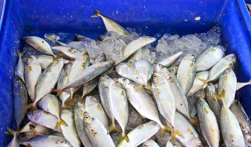 鱼海鲜健康餐厅食物钓鱼海洋动物市场图片