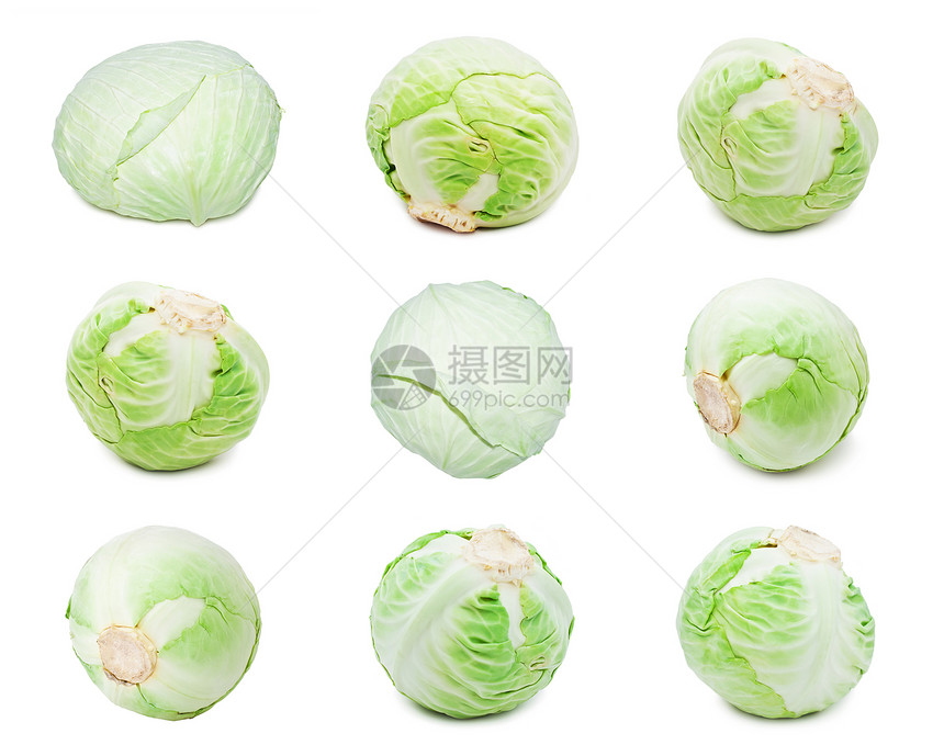 镇菜多叶蔬菜白色营养绿色沙拉工作室收成食物叶子图片
