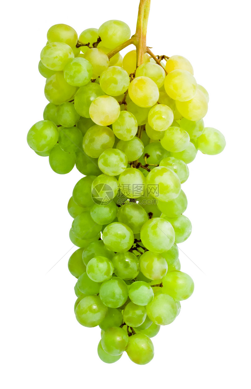 葡萄收成甜点营养白色酒厂藤蔓绿色食物农业水果图片
