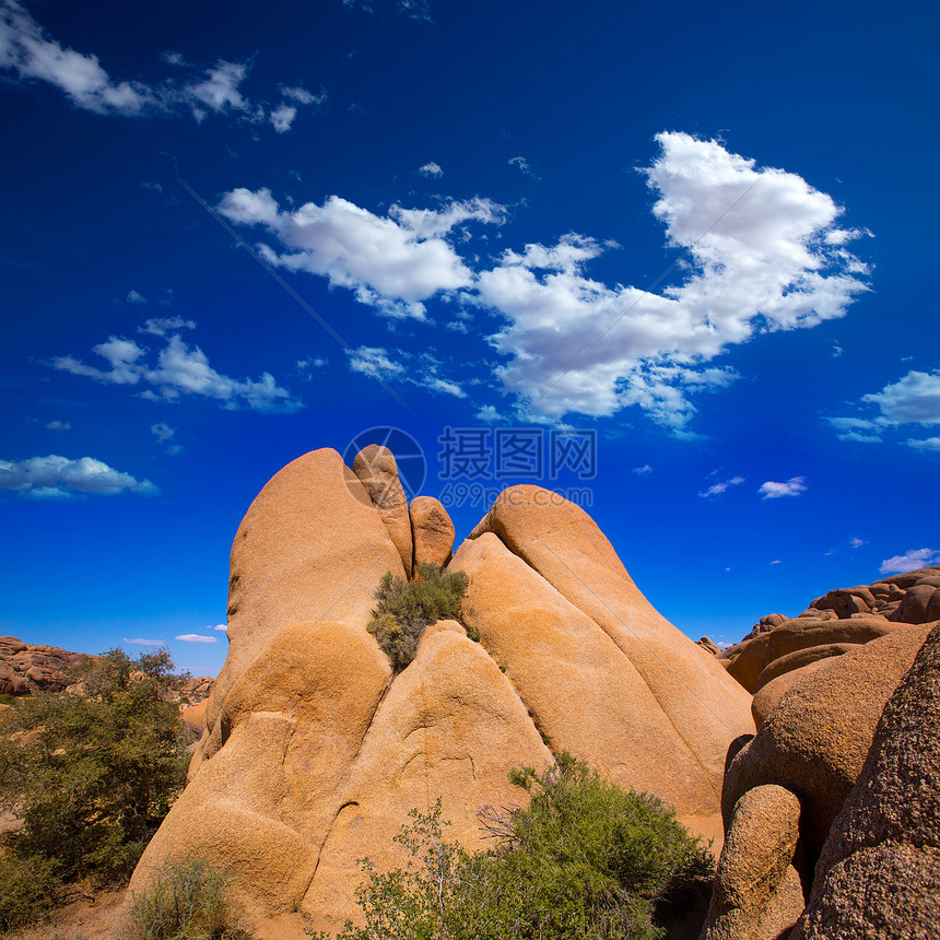 Joshua树国家公园天空衬套地标晴天砂岩土壤蓝色干旱编队颅骨图片