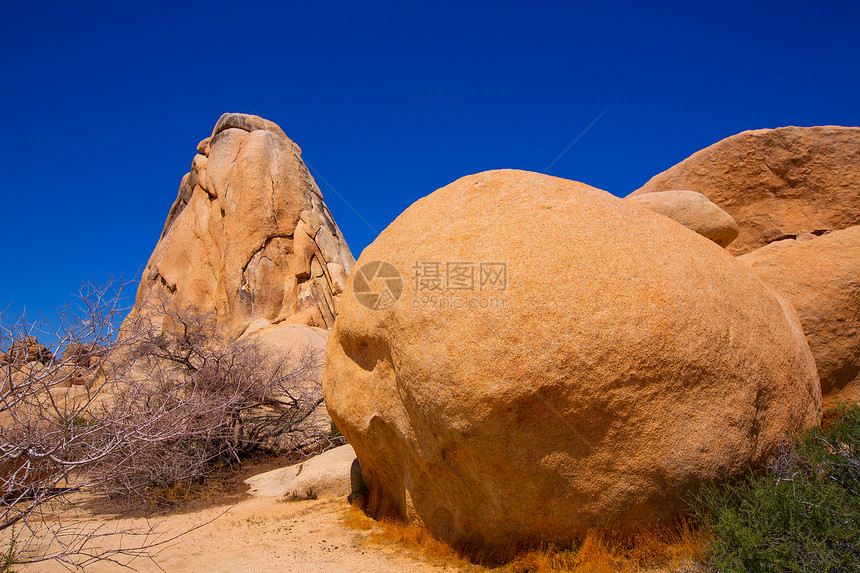 州立公园交叉岩编队地平线天空岩石沙漠石头土壤晴天太阳砂岩图片