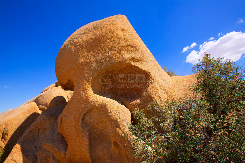 Joshua树国家公园太阳石头岩石天空沙漠土壤地标旅行砂岩公园图片