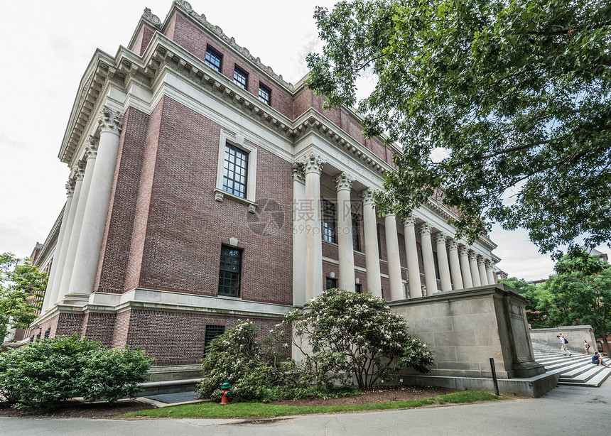 哈佛大学宽度图书馆学生图书馆图书旅游学习知识中心石头大学旅行图片