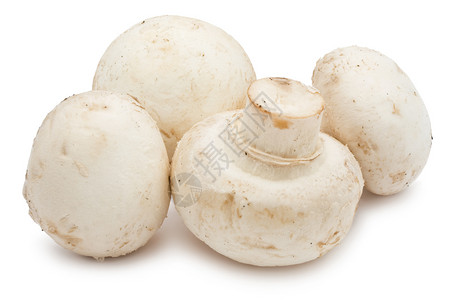 香农蘑菇美食白色营养团体食物茶点蘑菇蔬菜宏观高清图片
