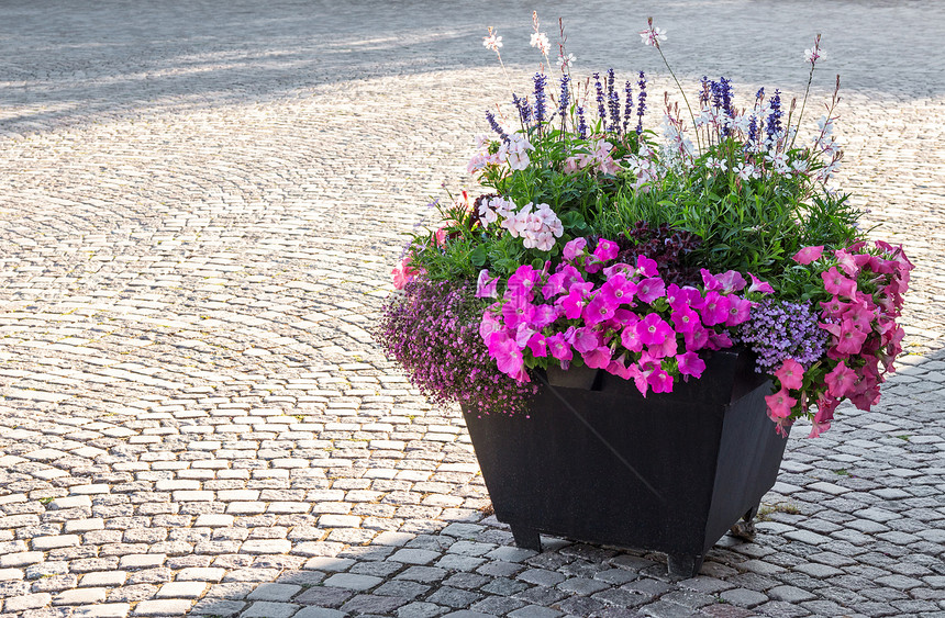 城市广场花朵装饰图片