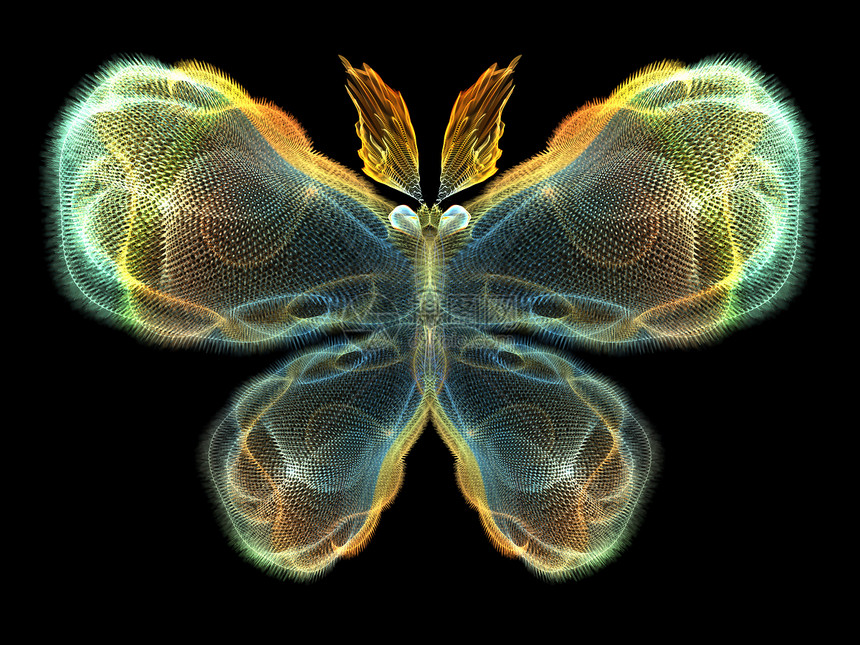 蝴蝶元素生物学眼睛数学昆虫学航班动物设计触角花园漏洞图片