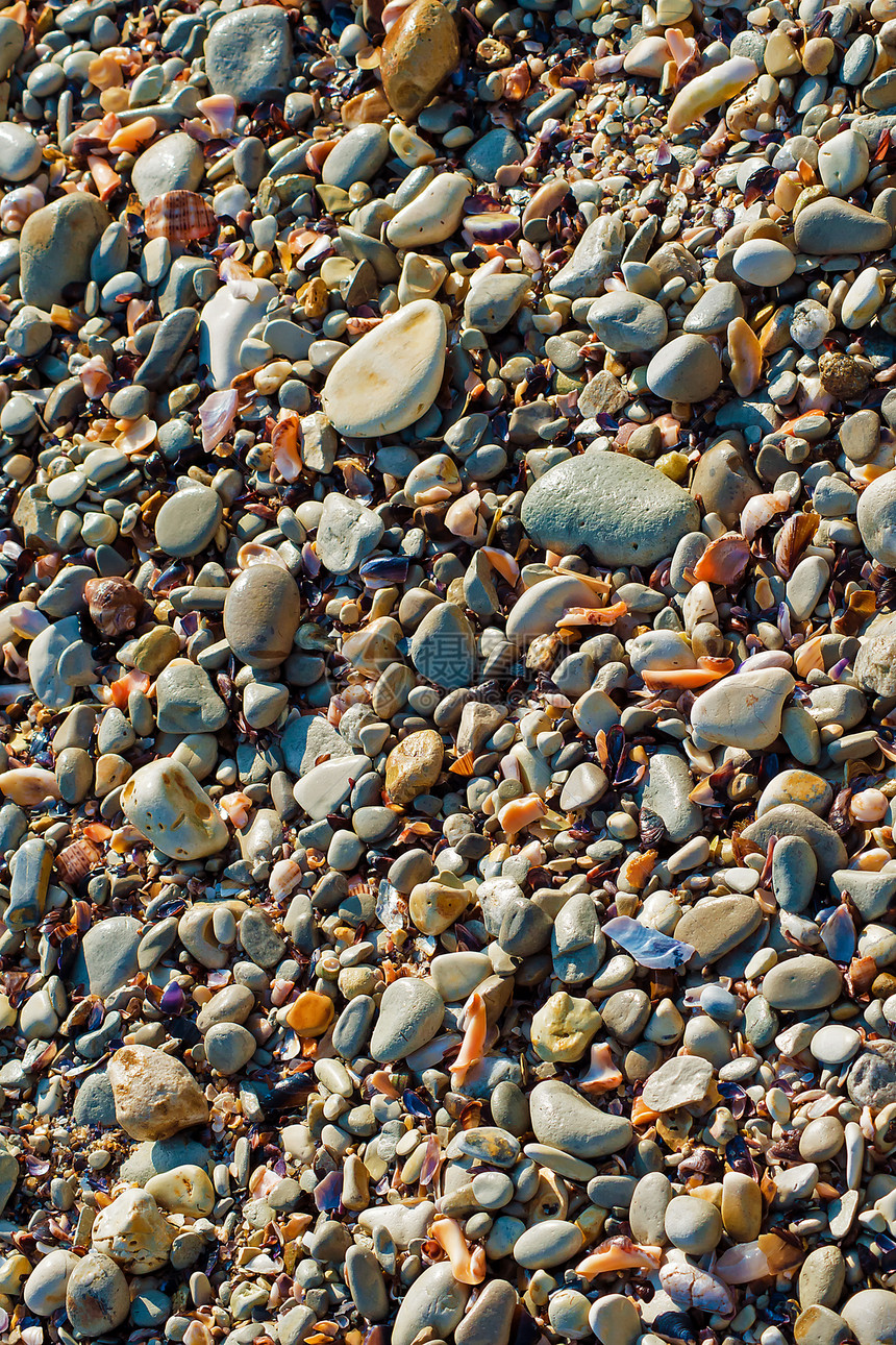海洋卵石海滩贝壳石头表格尺寸混合物碎片海滨休假海岸图片