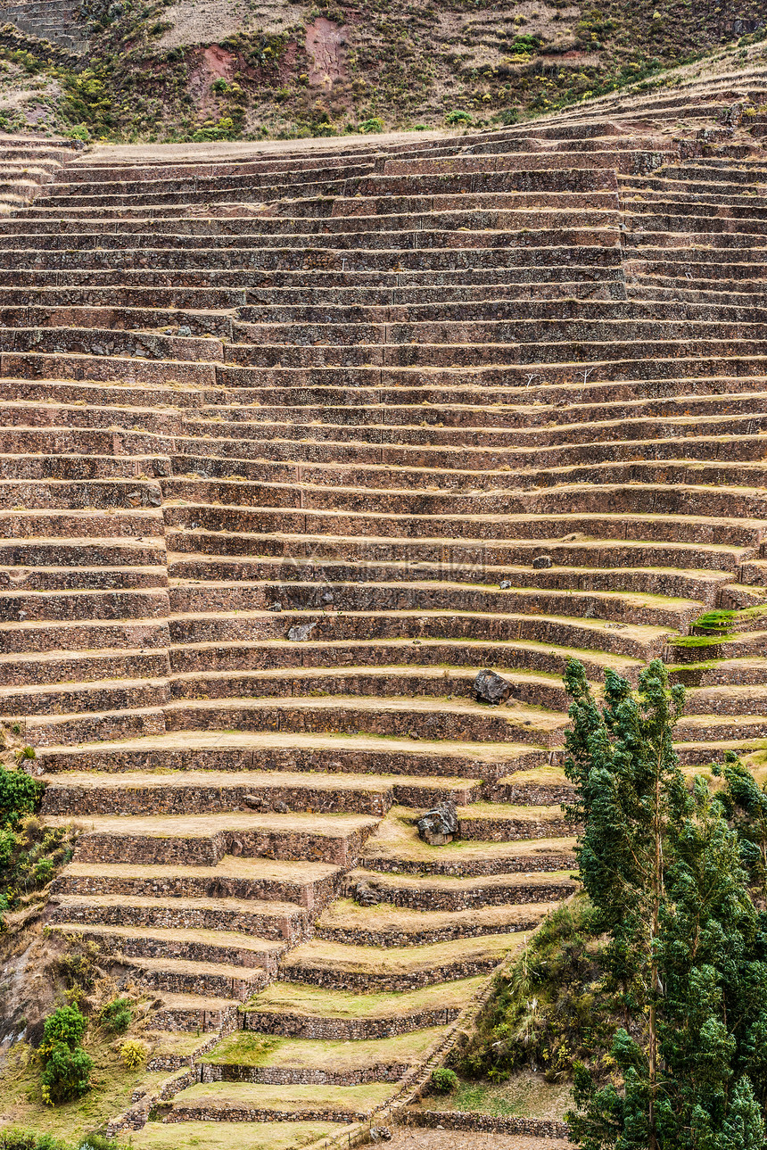 Pisac废墟 秘鲁秘鲁安第斯山旅行山脉梯田阳台风景考古目的地地标圣谷地方图片
