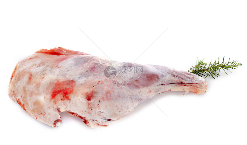 羔羊腿羊腿食物肉皮工作室红肉迷迭香图片