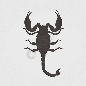 螯蝎子 eps10矢量格式插画