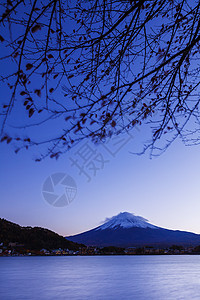 封顶富士山晚上积雪日落植物冰镇公吨阳光顶峰火山背景