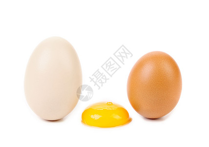 白蛋和黄蛋背景图片