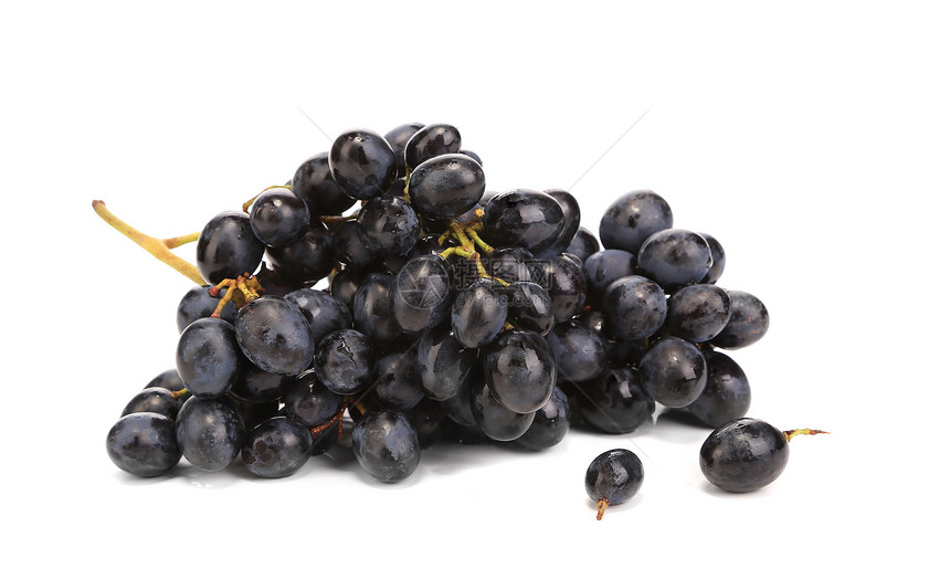 黑熟葡萄的分枝蓝色栽培食物葡萄园藤蔓美食收成水果植物美丽图片