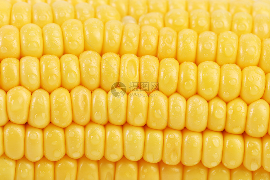玉米的本底膳食食物收成棒子水果粮食爆米花宏观蔬菜生产图片