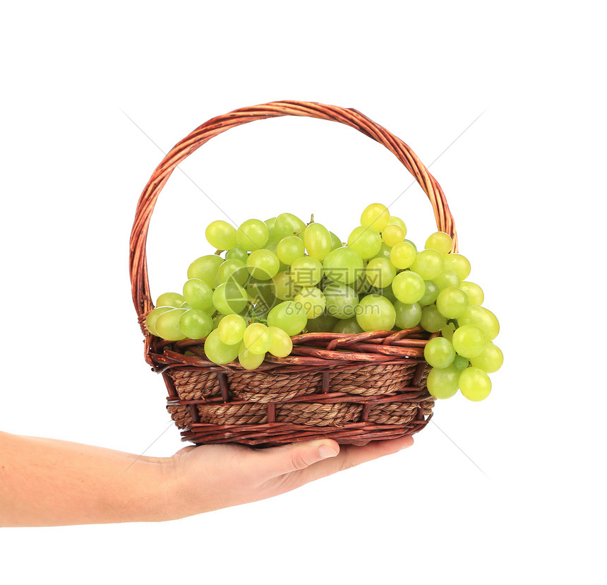 绿色成熟的葡萄篮在手图片