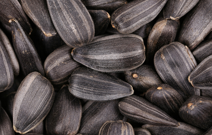 黑向日葵种子贴近了营养黑色向日葵食物蔬菜粮食农业条纹图片