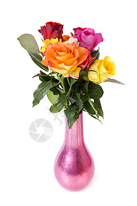 白色背景的花瓶中彩色玫瑰团列背景图片