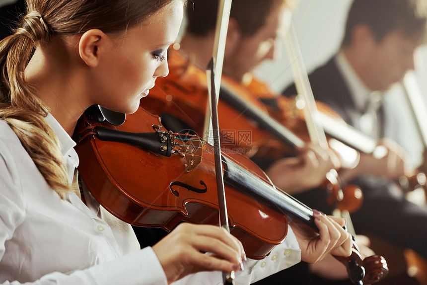 古典音乐 音乐会交响乐乐队娱乐乐器男性专注音乐小提琴音乐家男士图片