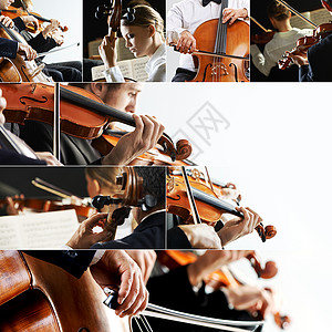 大提琴乐器古典音乐乐器男士乐队男性团队女士艺术音乐会古典音乐音乐家背景