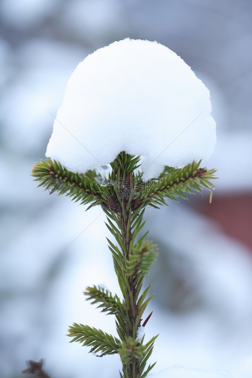 白雪在火光下图片