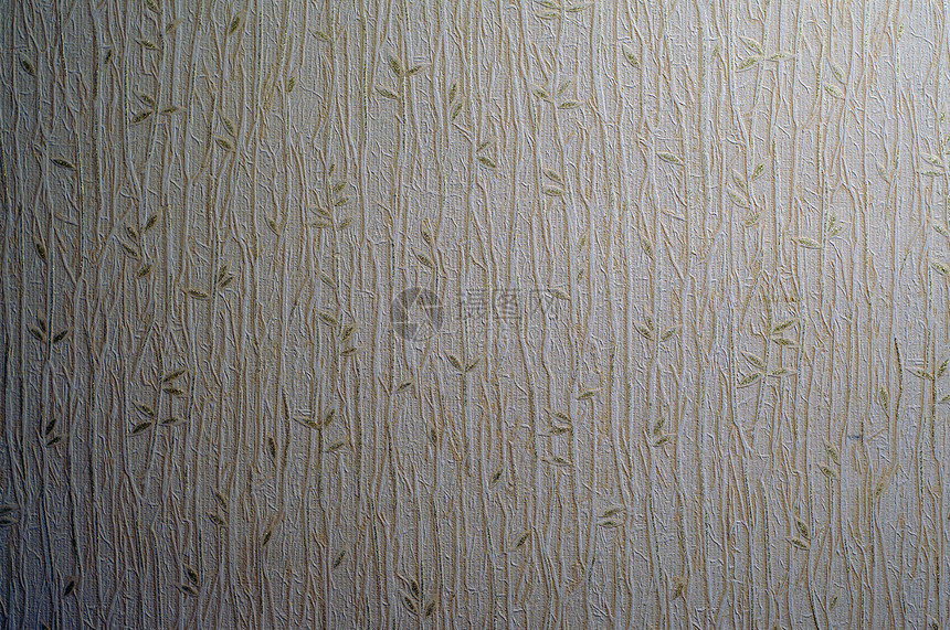 浅薄的墙纸纹质 配有金色螺旋图案图片