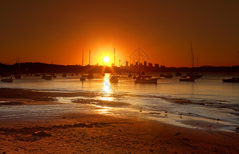 澳大利亚华生湾的日落背景图片