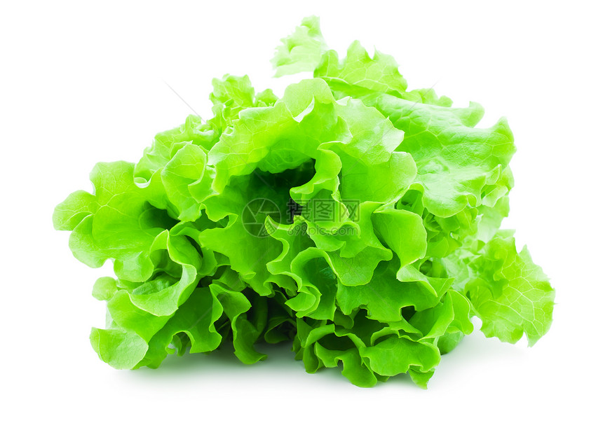 发生饮食植物沙拉小吃食物绿色杂货店白色叶子活力图片