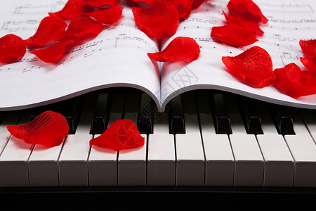 钢琴键和音乐书唱歌黑色白色仪表人声休息音乐会音乐艺术宏观背景