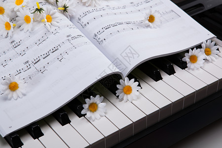 钢琴钥匙 音乐书和花艺术仪表歌曲唱歌音乐会旋律白色宏观学习行动背景图片