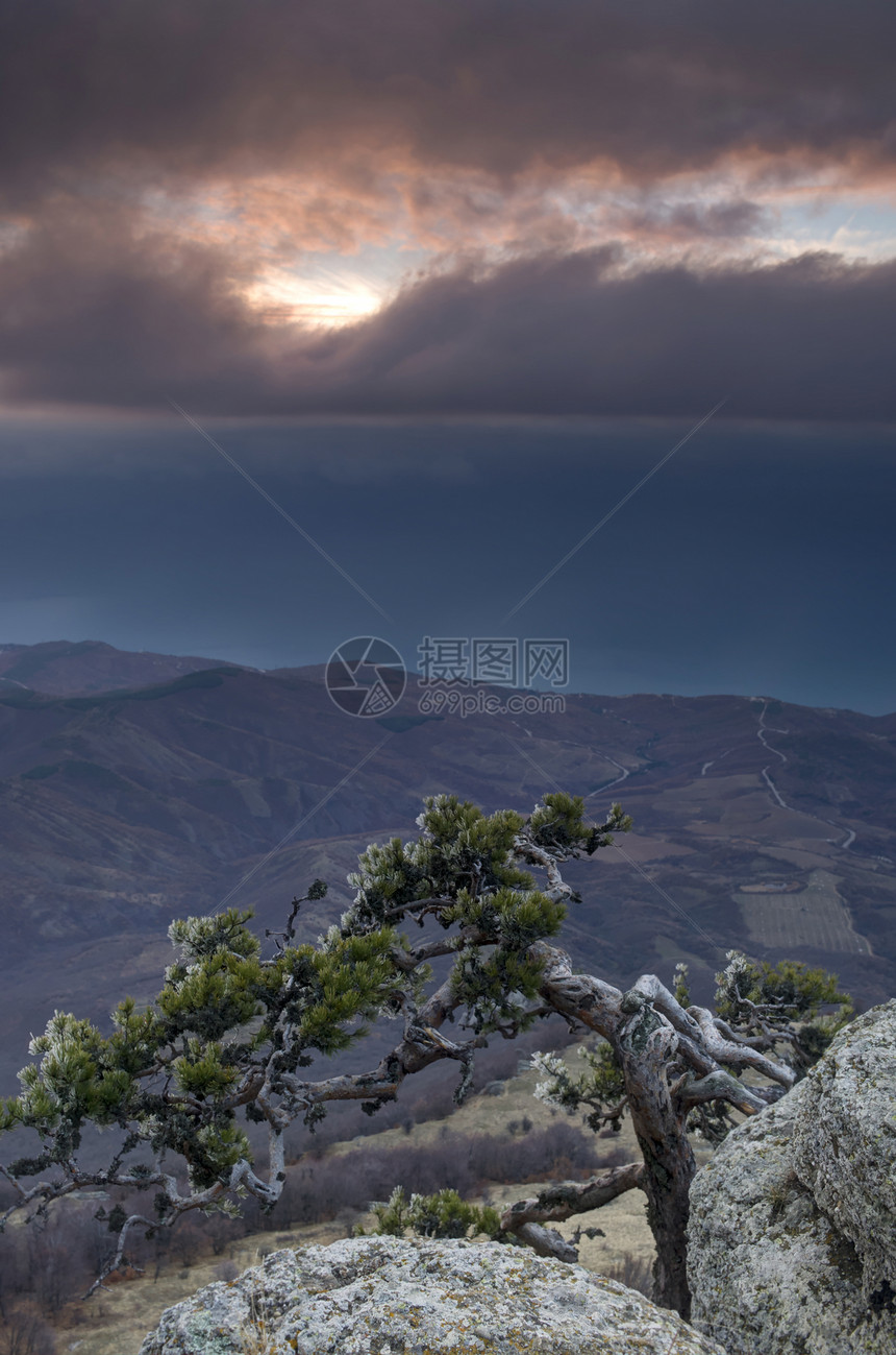 山里的松树背景是克里米亚的Demerdji生长木头山脉岩石旅行风景森林生态天空石头图片