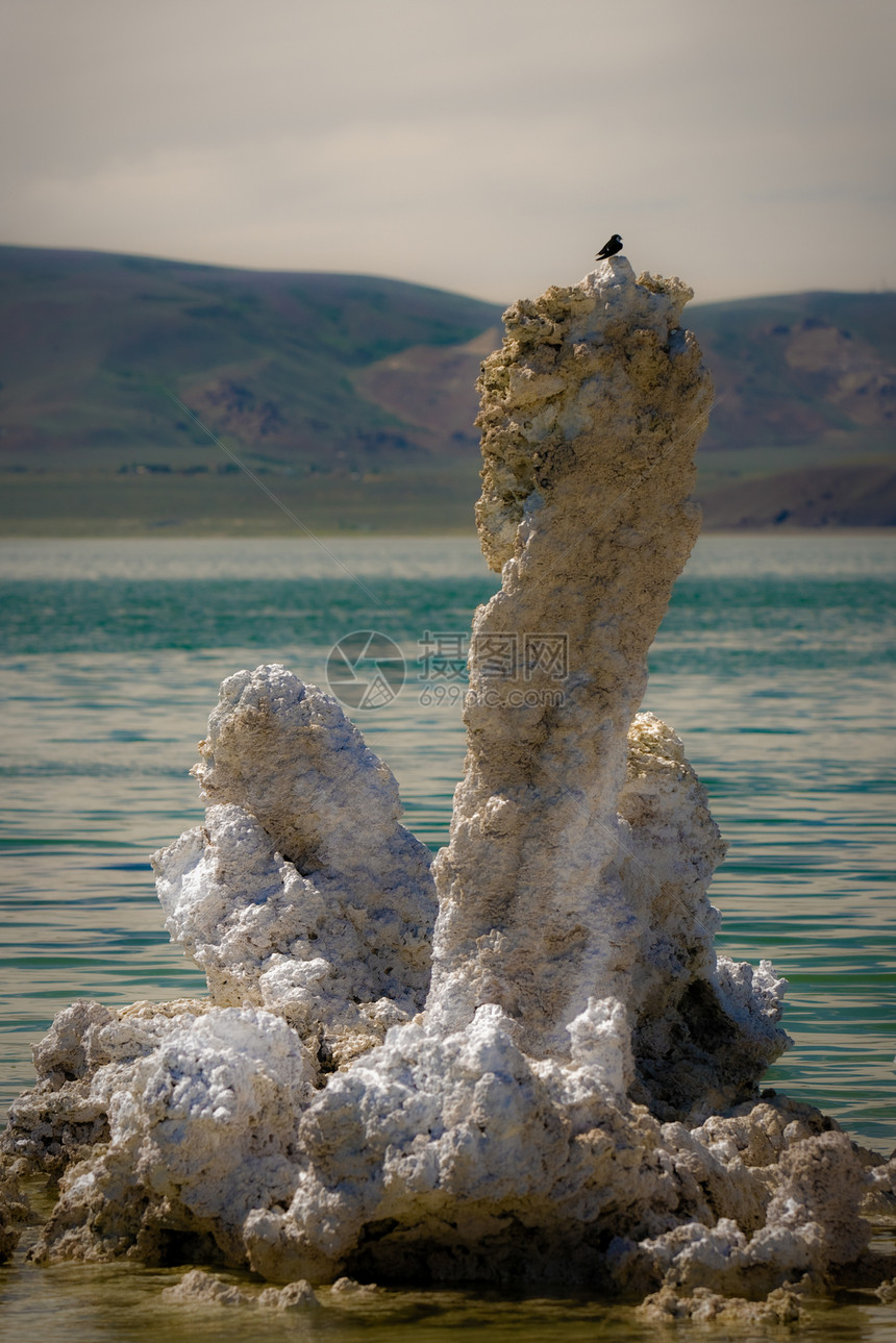 莫诺湖湖盐水盆地柱子积累土地碱性编队腐蚀性苏打水晶图片