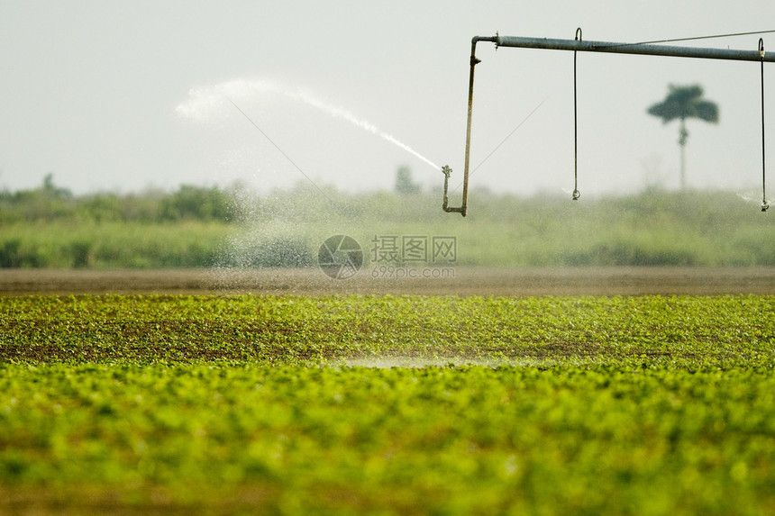 Sprinkler 喷雾器风光农具绿色设备风景灭火农业系统灌溉洒水器图片