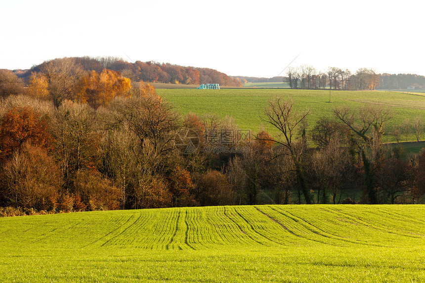 德国温和滚动的山丘田地场景农田山坡绿色植物爬坡农作物草地农村树木国家图片