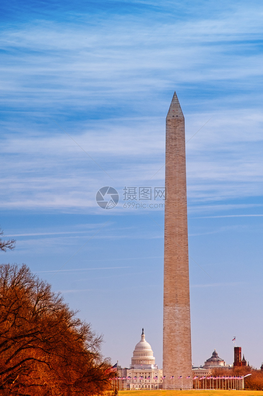 华盛顿纪念碑纪念碑树叶建筑学意义多叶方尖碑风景历史蓝色叶子图片