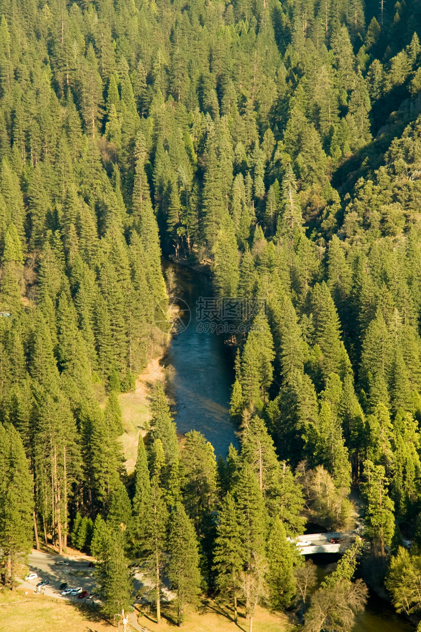 约塞米特河谷绿色山谷场景摄影目的地地标树木阴影阳光风景图片