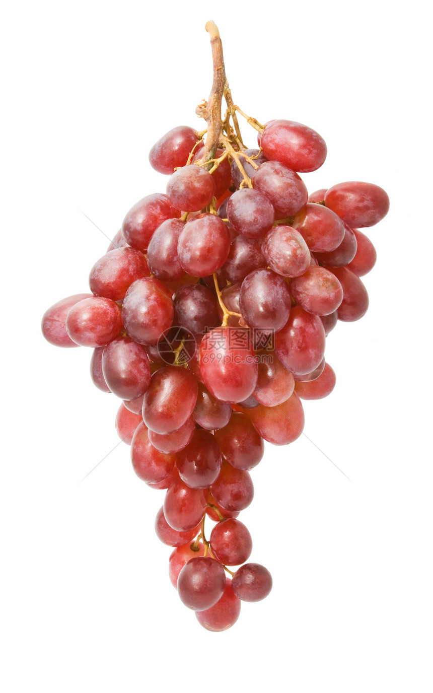 葡萄甜点白色收成农业红色水果营养藤蔓酒厂浆果图片