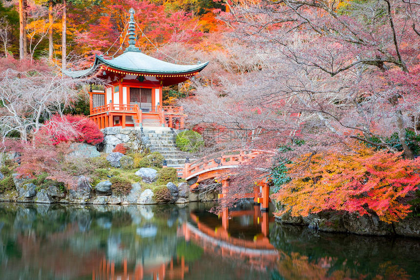 日本京都 京都宗教花园日落宝塔建筑学寺庙建筑城堡艺术神社图片