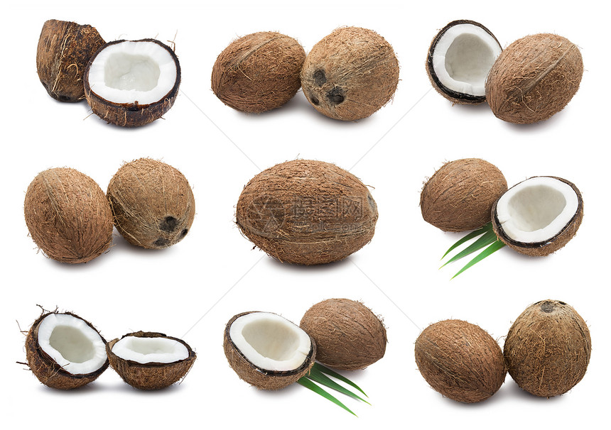 椰子健康圆形坚果棕色营养牛奶美食棕榈食物白色图片