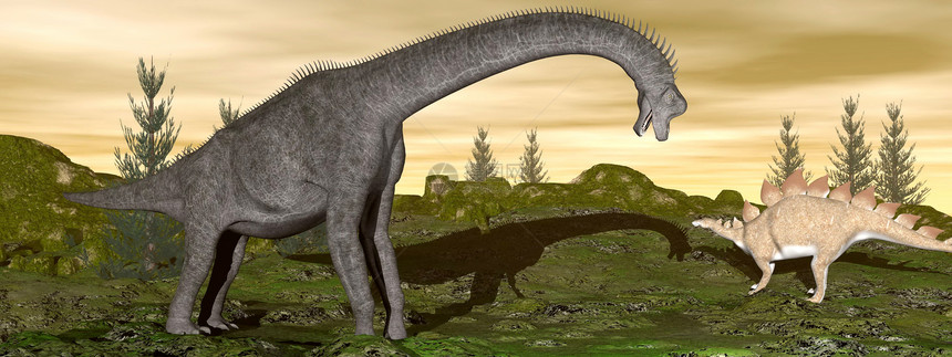 3D型恐龙三维化石图片