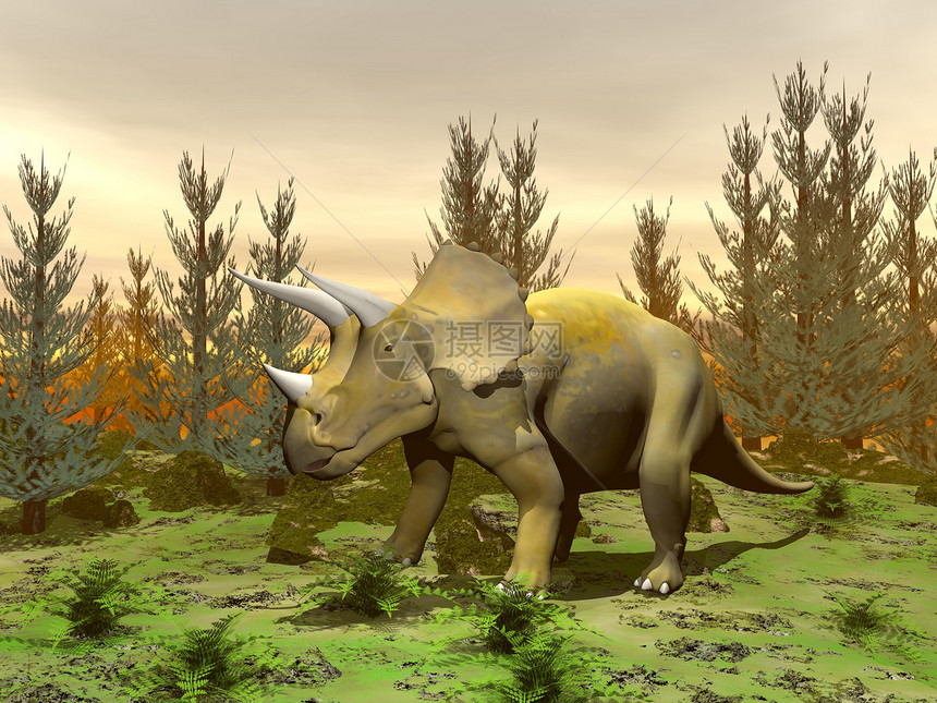三角形恐龙  3D转化插图脊椎动物古生物学蜥蜴动物爬虫野生动物侏罗纪爪子灭绝图片