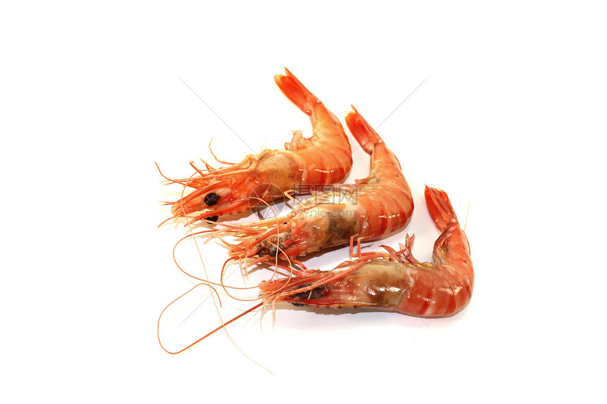三只虾海鲜异国厨房甲壳橙子老虎白色盘子油炸晚餐图片
