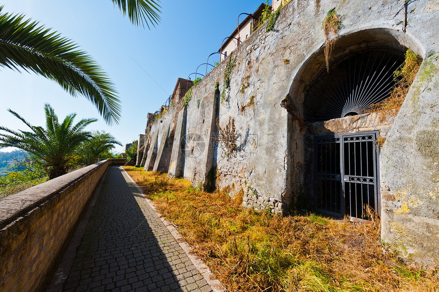 中世纪城文化考古学森林遗产历史性窗户城市地标建筑棕榈图片