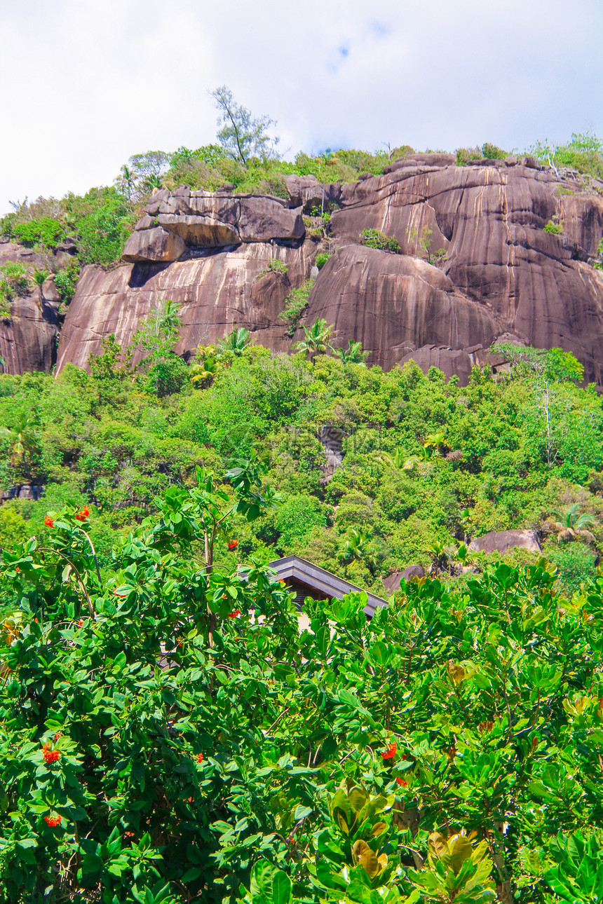 塞舌尔大块光滑的巨石群巨石风景绿色植物热带蓝色石头情调天空绿色异国图片
