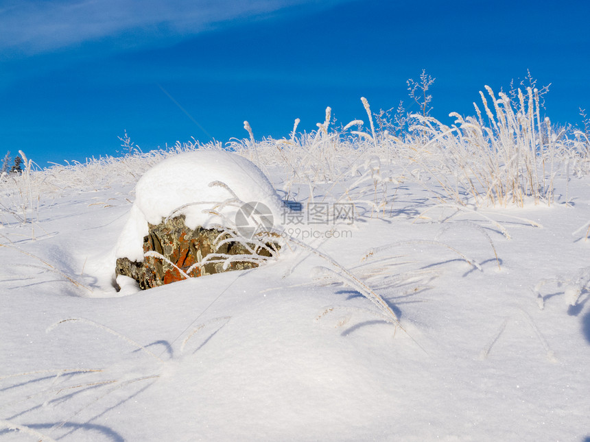 落山苔原山雪覆盖冬季仙境图片