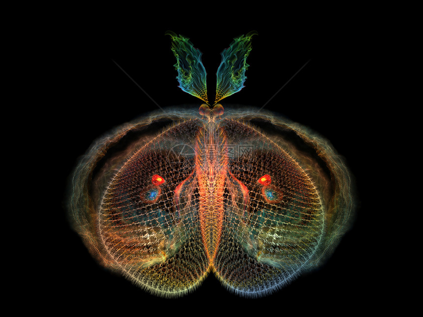蝴蝶优雅渲染奉承昆虫生物学花园装饰品航班想像力几何学元素图片