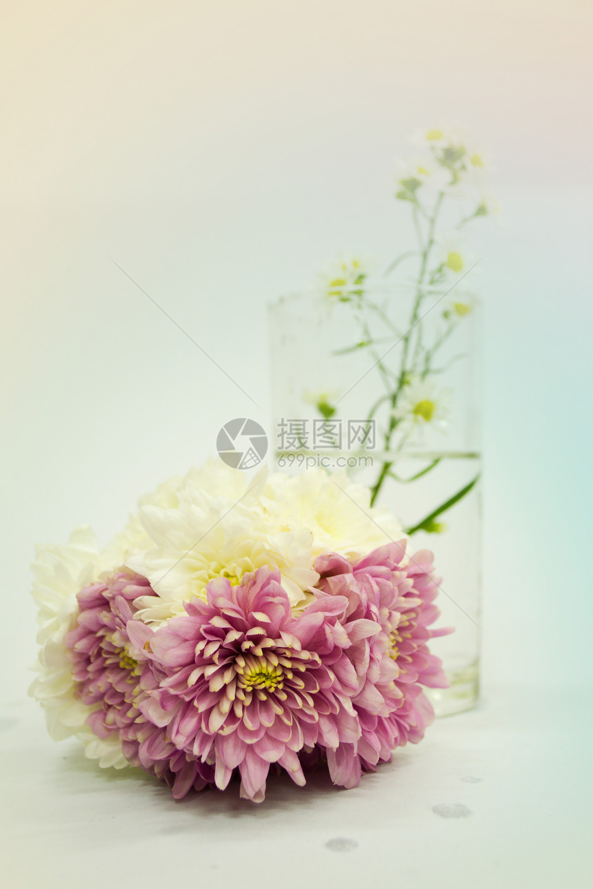 粘贴纸中的花束玫瑰玻璃花朵植物蓝色雏菊花瓣浪漫郁金香礼物图片